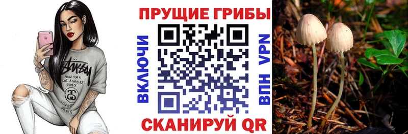 Псилоцибиновые грибы GOLDEN TEACHER  наркошоп  Вилюйск 
